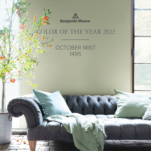 Color of the year 2022